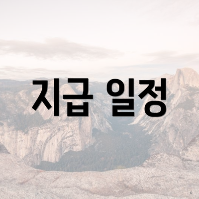 지급 일정