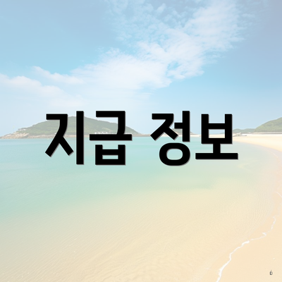 지급 정보