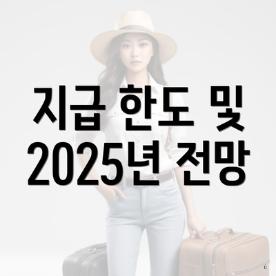 지급 한도 및 2025년 전망