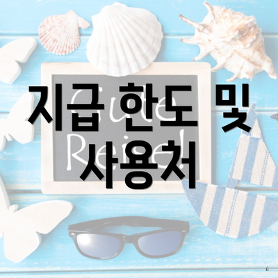 지급 한도 및 사용처