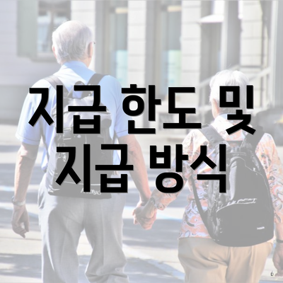 지급 한도 및 지급 방식