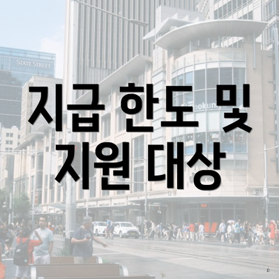 지급 한도 및 지원 대상