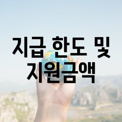 지급 한도 및 지원금액