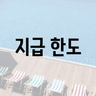 지급 한도
