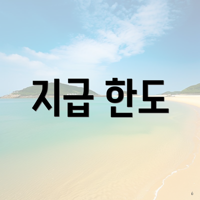 지급 한도