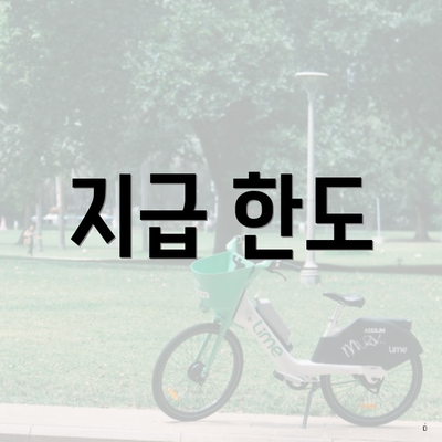 지급 한도