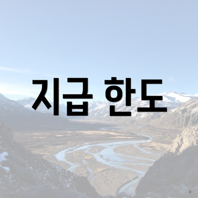 지급 한도