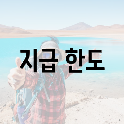 지급 한도