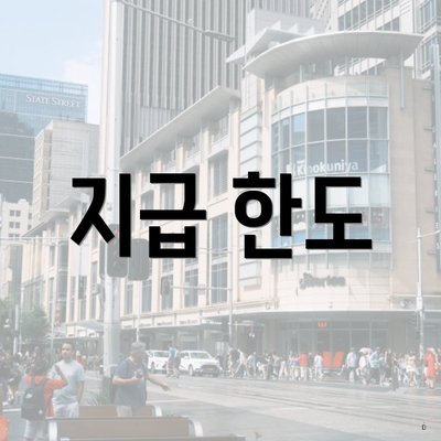 지급 한도