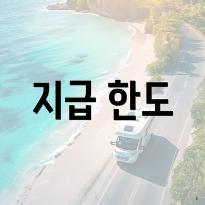 지급 한도