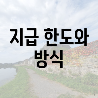 지급 한도와 방식