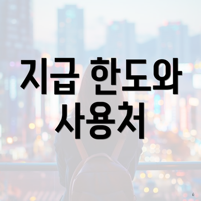 지급 한도와 사용처