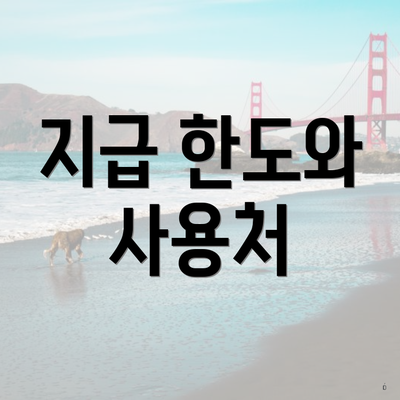 지급 한도와 사용처