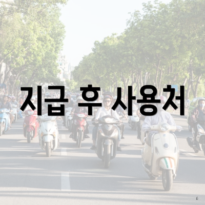 지급 후 사용처