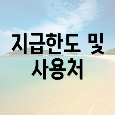 지급한도 및 사용처