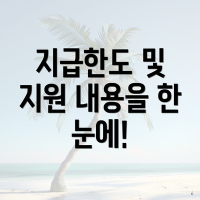 지급한도 및 지원 내용을 한 눈에!