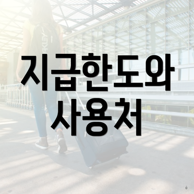 지급한도와 사용처