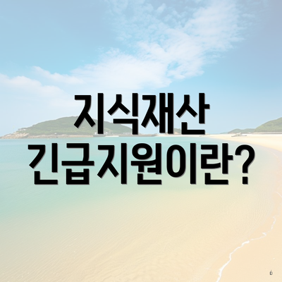 지식재산 긴급지원이란?