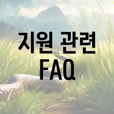 지원 관련 FAQ