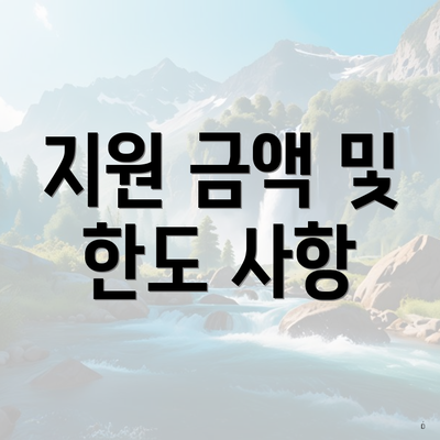 지원 금액 및 한도 사항