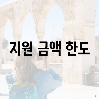 지원 금액 한도