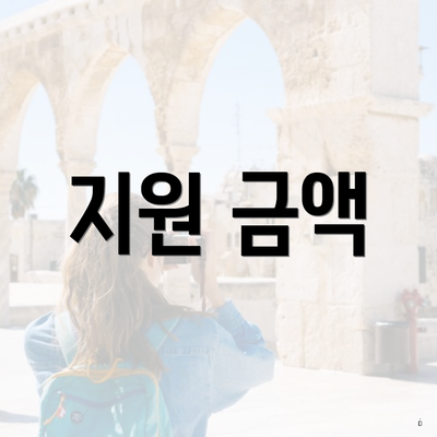 지원 금액
