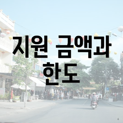 지원 금액과 한도