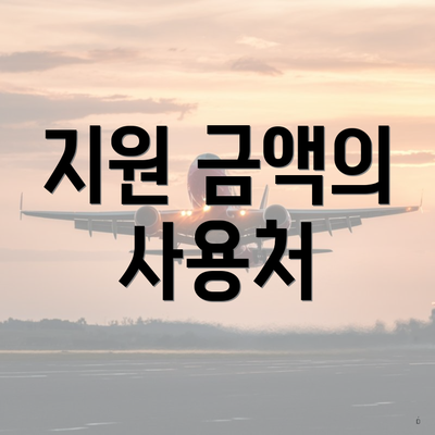 지원 금액의 사용처