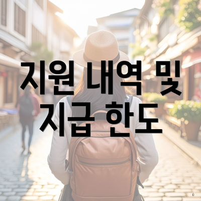 지원 내역 및 지급 한도