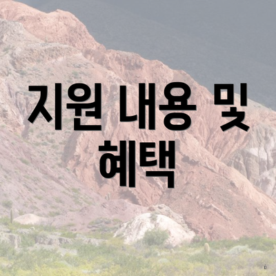 지원 내용 및 혜택