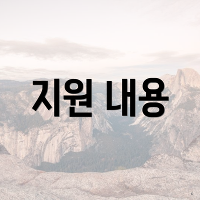 지원 내용