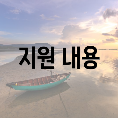 지원 내용