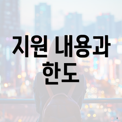 지원 내용과 한도