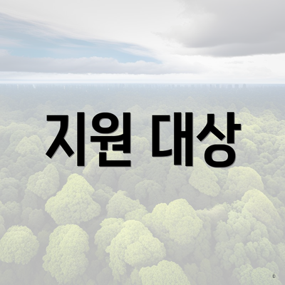 지원 대상
