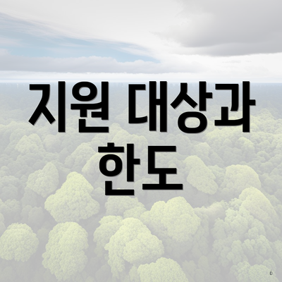 지원 대상과 한도