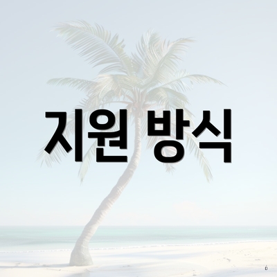 지원 방식