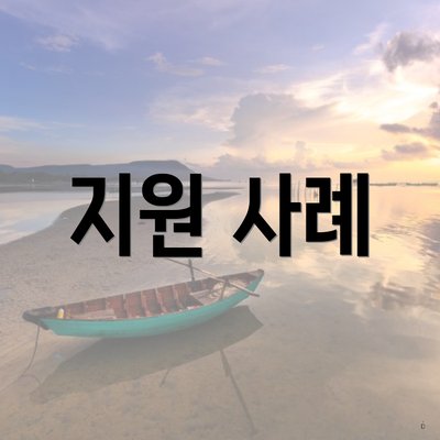 지원 사례