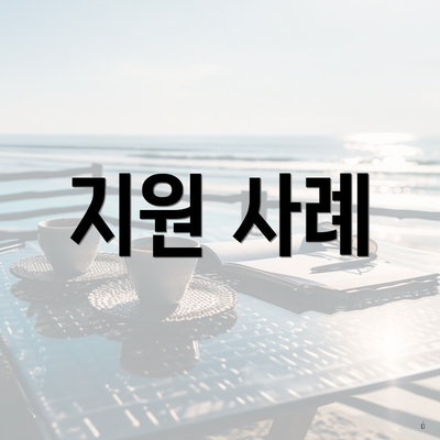 지원 사례