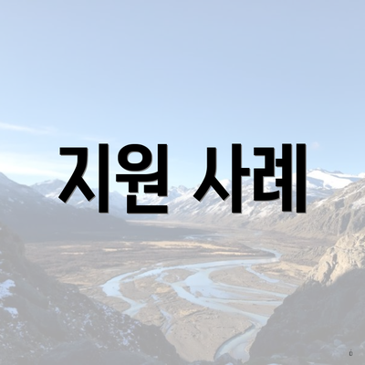 지원 사례