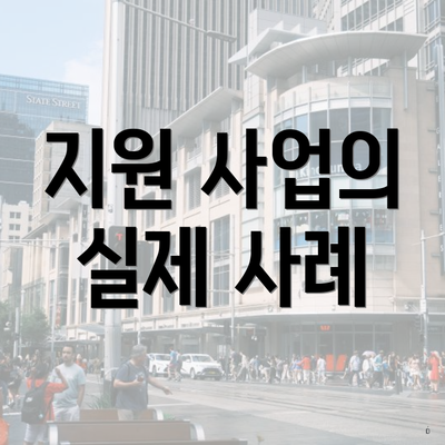 지원 사업의 실제 사례