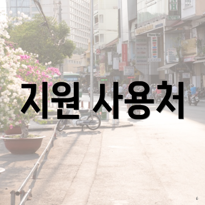 지원 사용처