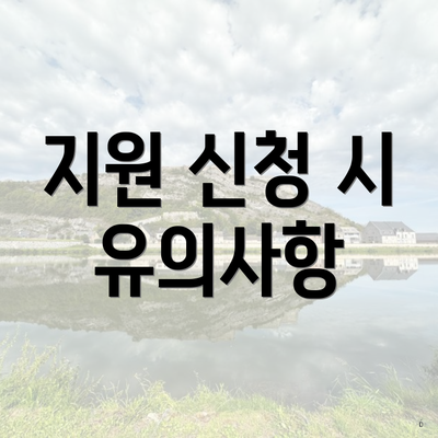지원 신청 시 유의사항