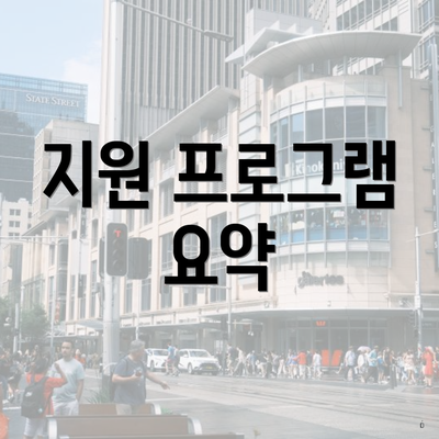 지원 프로그램 요약