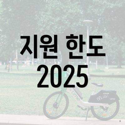 지원 한도 2025