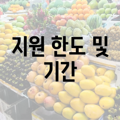 지원 한도 및 기간