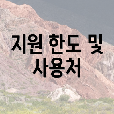 지원 한도 및 사용처