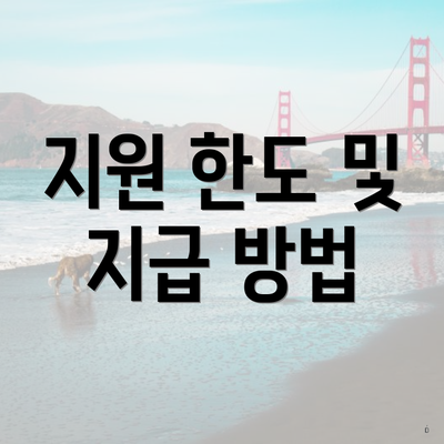 지원 한도 및 지급 방법