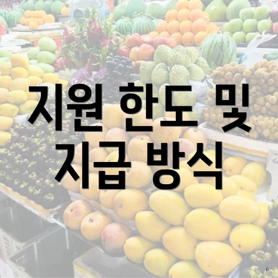 지원 한도 및 지급 방식