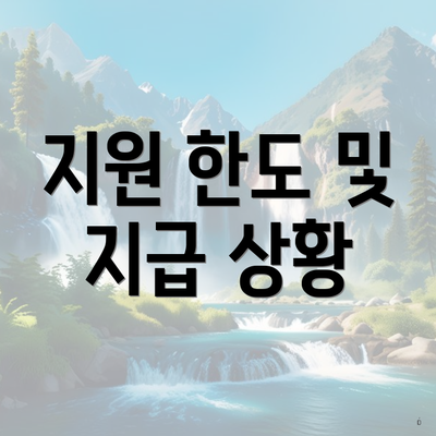 지원 한도 및 지급 상황