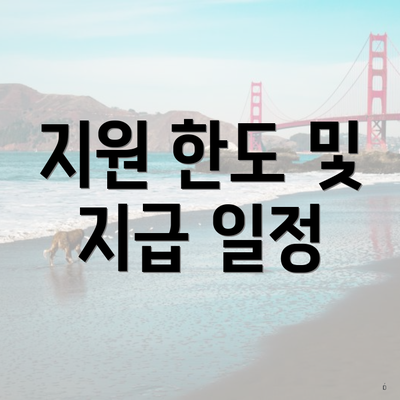 지원 한도 및 지급 일정